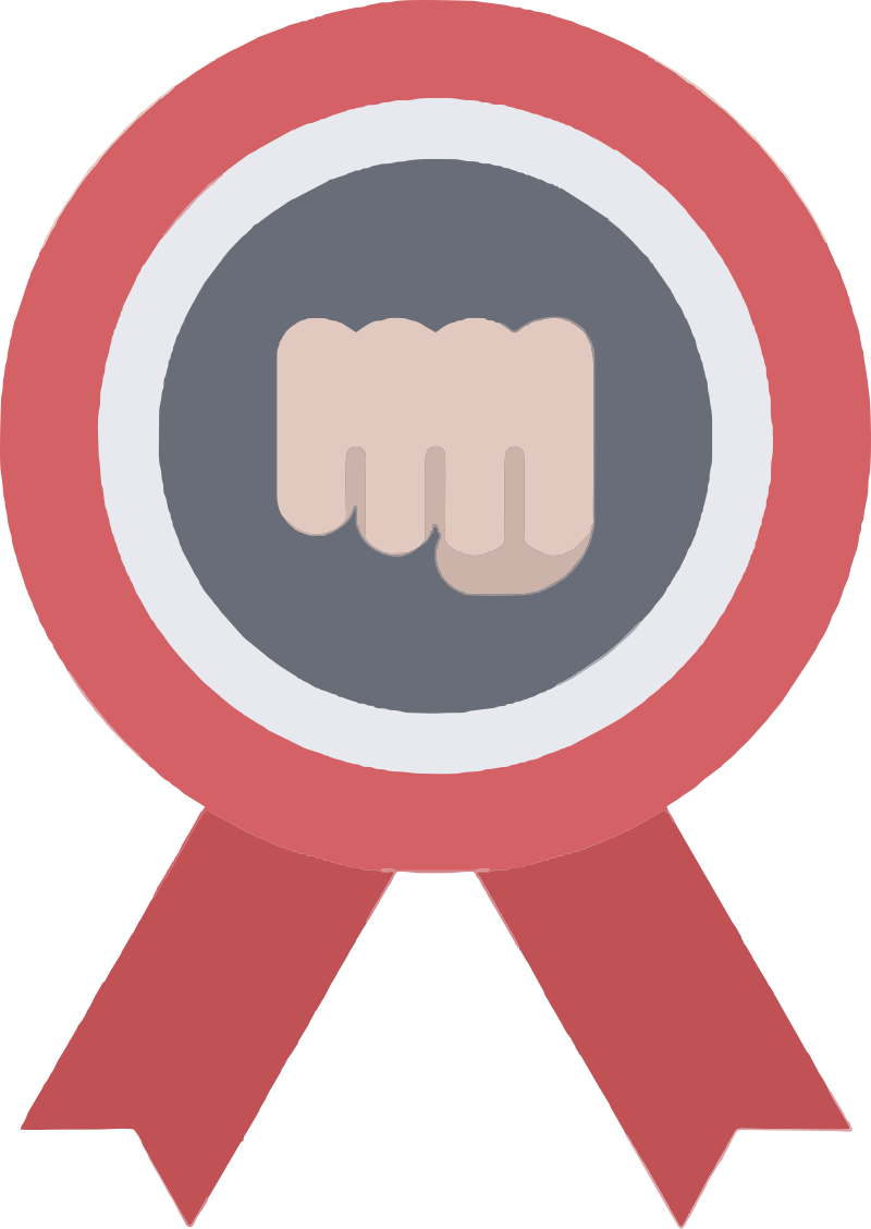 martial art software